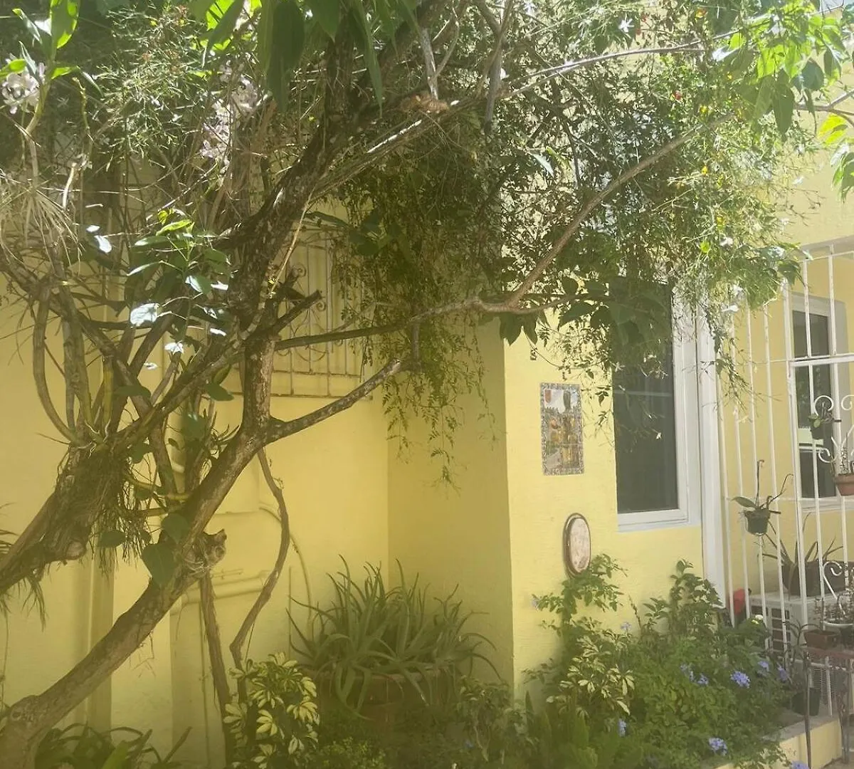公寓 Villa Petrea 圣胡安